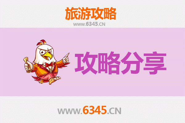 攀枝花西区旅游攻略：跟团与自由行深度对比